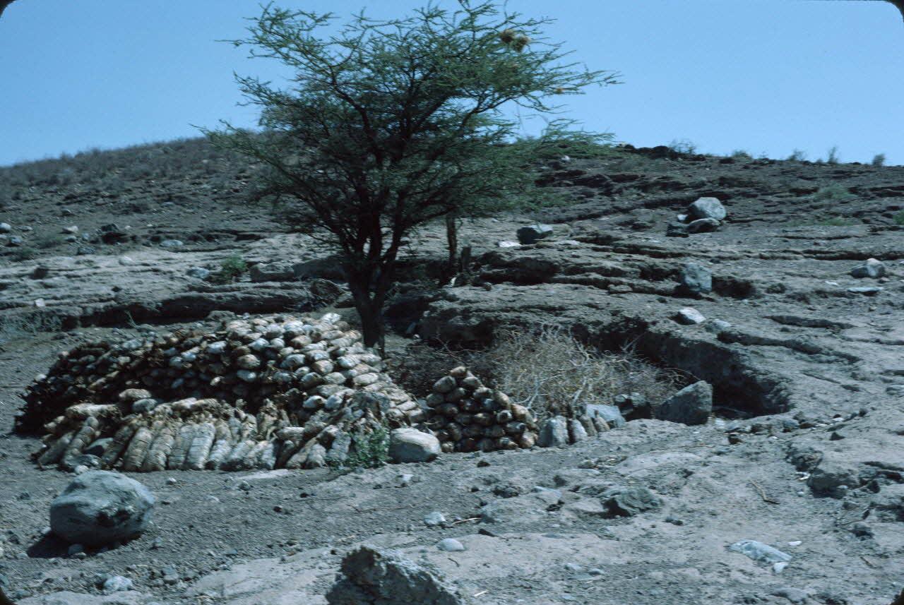 photographie Enquête conduite par Jean Cuisenier au Kenya Ph.1984.79.67 Photo