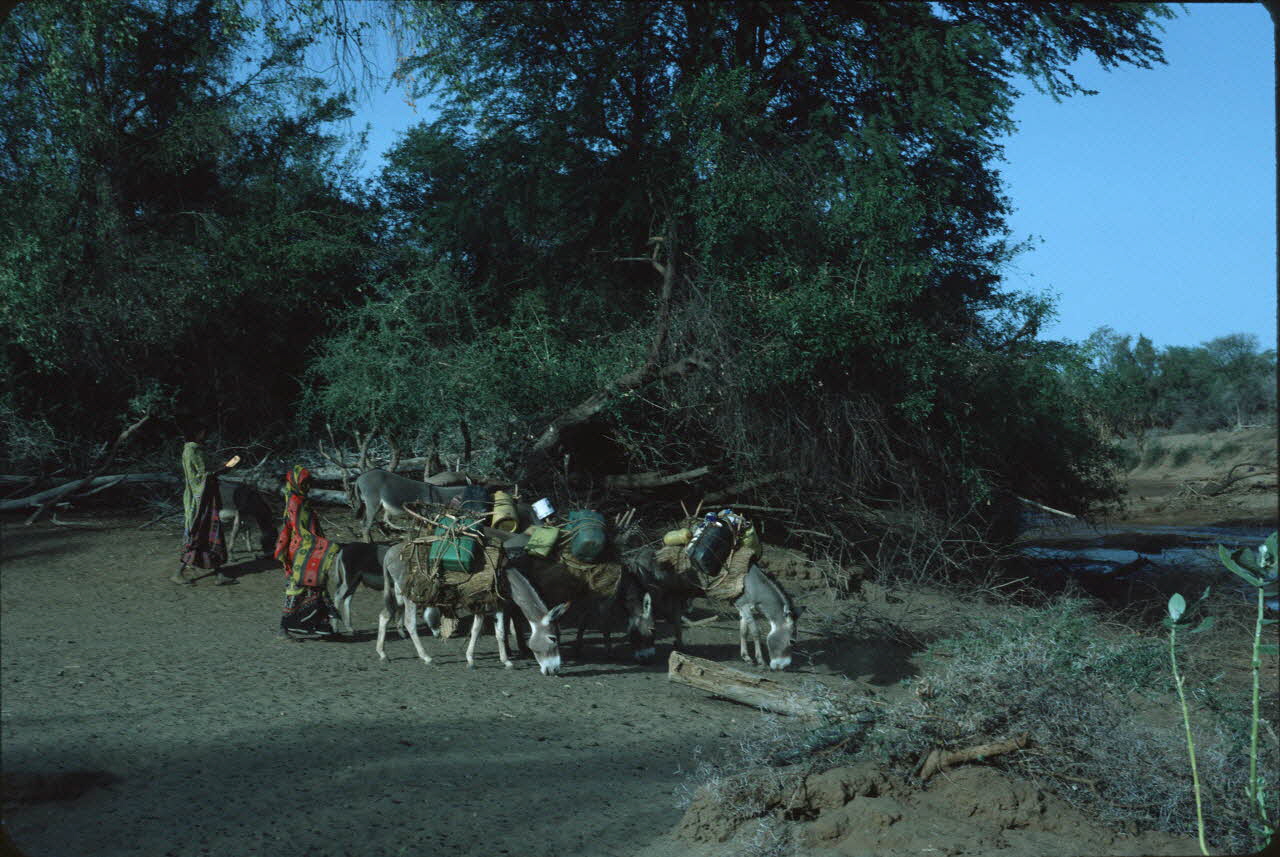 photographie Enquête conduite par Jean Cuisenier au Kenya Ph.1984.79.71 Photo