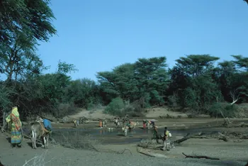 photographie Enquête conduite par Jean Cuisenier au Kenya Ph.1984.79.73 Photo