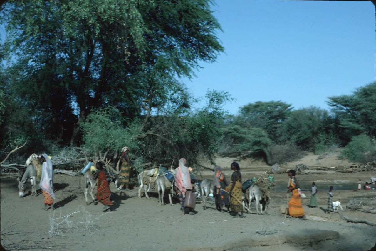 photographie Enquête conduite par Jean Cuisenier au Kenya Ph.1984.79.80 Photo