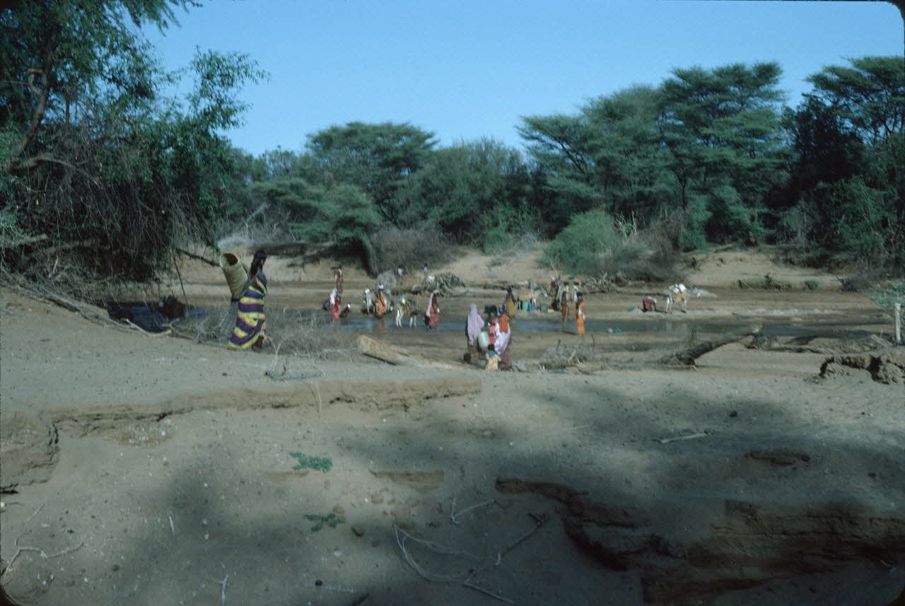 photographie Enquête conduite par Jean Cuisenier au Kenya Ph.1984.79.83 Photo