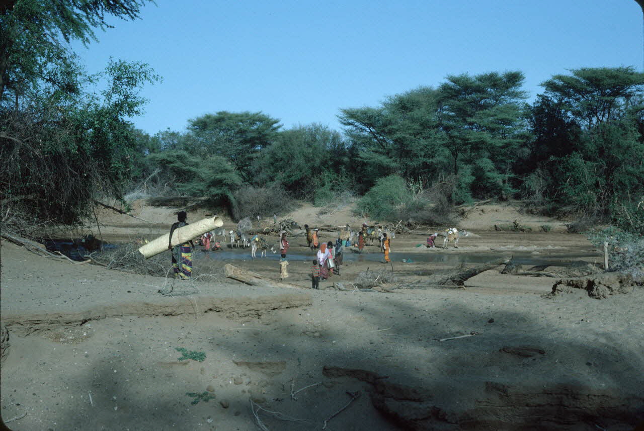 photographie Enquête conduite par Jean Cuisenier au Kenya Ph.1984.79.84 Photo