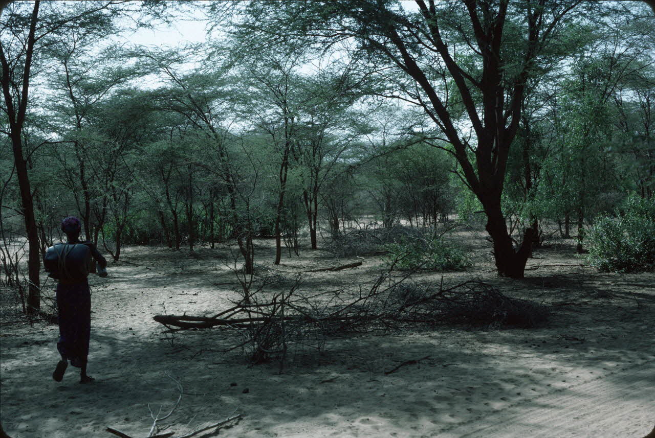 photographie Enquête conduite par Jean Cuisenier au Kenya Ph.1984.79.95  Photo