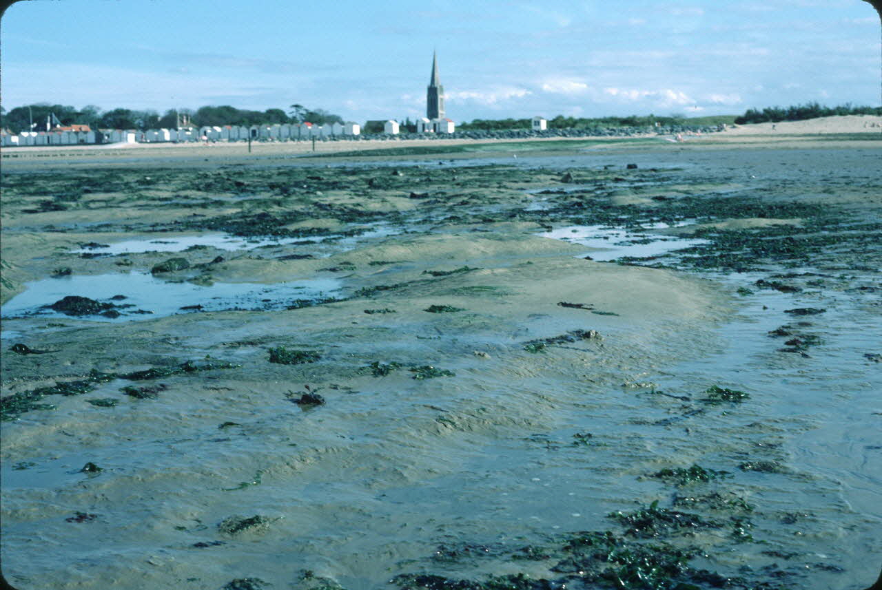 Jean Cuisenier photographie Enquête conduite par Jean Cuisenier en Basse-Normandie (juillet 1985) Basse-Normandie, France 1985/7/1 Ph.1985.71.24  Photo