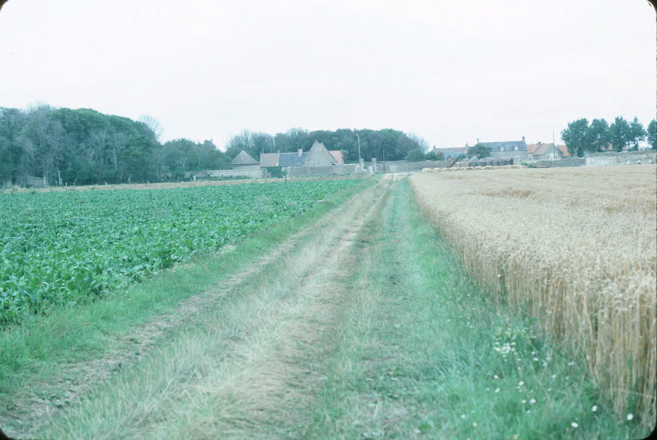 photographie Enquête conduite par Jean Cuisenier en Basse-Normandie Ph.1985.91.17 Photo
