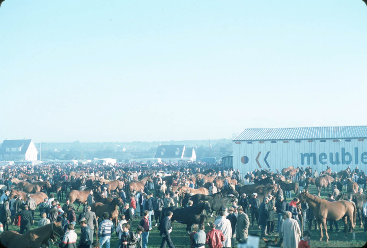 photographie Enquête conduite par Jean Cuisenier à la foire aux bestiaux de Lessay Ph.1985.98.4 Photo