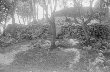 photographie Enquête conduite par Jean Cuisenier sur le site de Filitosa en Corse Ph.1986.103.5 Photo