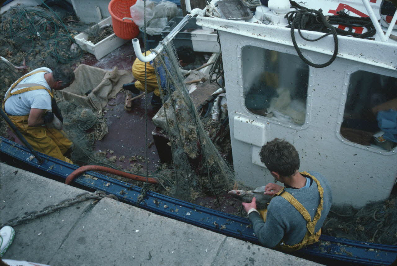 photographie Enquête conduite par Jean Cuisenier en Basse-Normandie Ph.1986.73.17 Photo