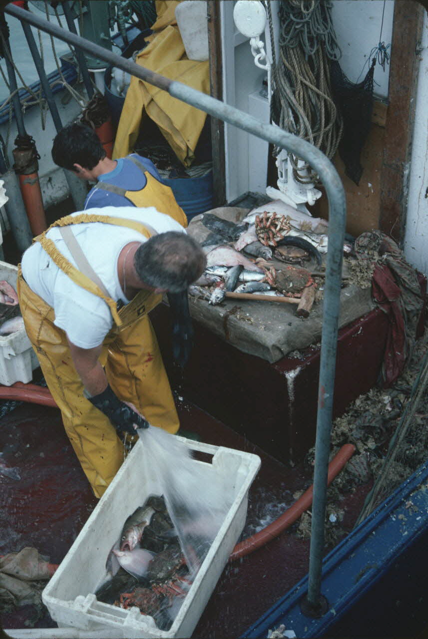 photographie Enquête conduite par Jean Cuisenier en Basse-Normandie Ph.1986.73.18 Photo