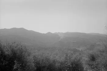 Jean Cuisenier photographie Enquête conduite par Jean Cuisenier sur le site de Filitosa en Corse (juillet 1986) Corse, France 1986/7/1 Ph.1986.77.1 Photo
