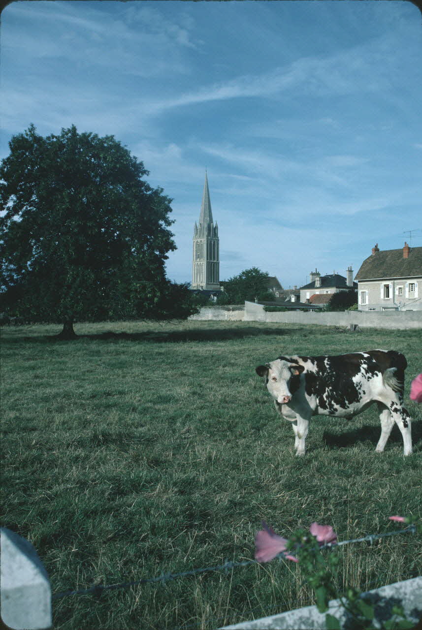 Jean Cuisenier photographie Enquête conduite par Jean Cuisenier en Basse-Normandie (août 1986) Basse-Normandie, France 1986/8/1 Ph.1986.83.6 Photo