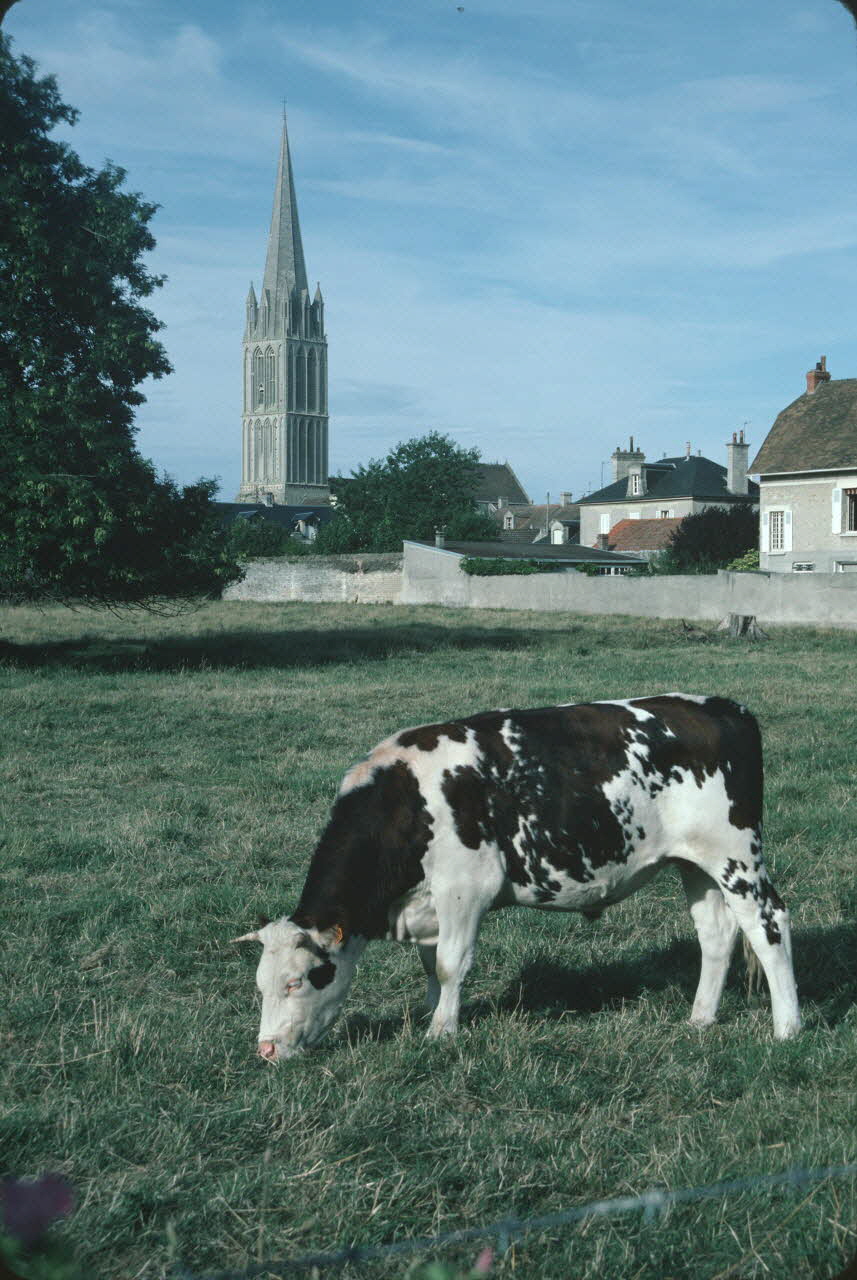 Jean Cuisenier photographie Enquête conduite par Jean Cuisenier en Basse-Normandie (août 1986) Basse-Normandie, France 1986/8/1 Ph.1986.83.7 Photo