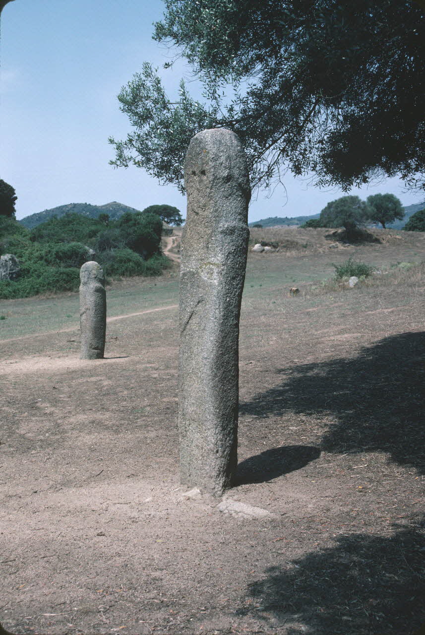 Jean Cuisenier photographie Enquête conduite par Jean Cuisenier en Corse (juillet 1986) Corse, France 1986/7/1 Ph.1986.85.13 Photo