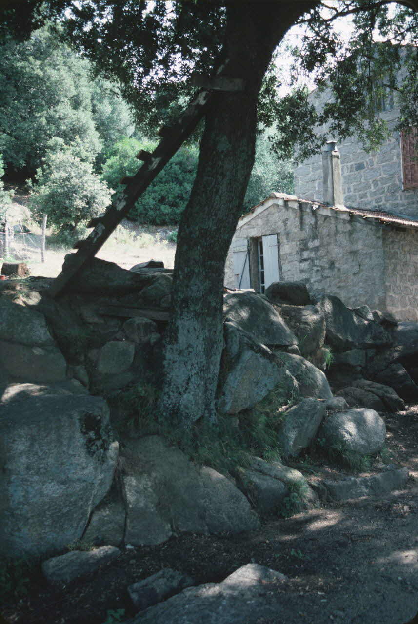 Jean Cuisenier photographie Enquête conduite par Jean Cuisenier en Corse (juillet 1986) Corse, France 1986/7/1 Ph.1986.85.7 Photo