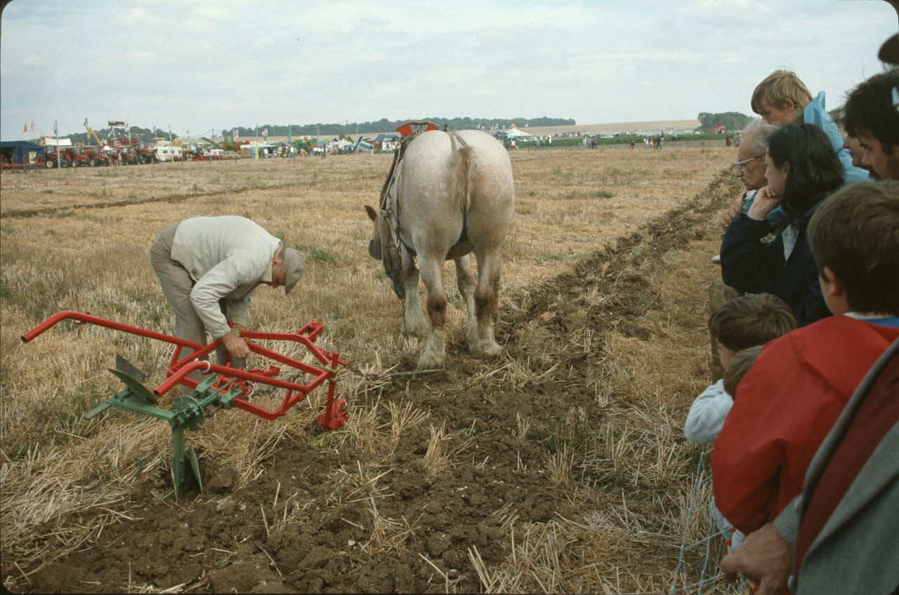 Frédéric Duchesne photographie MNATP. Enquête sur la finale des 32è Championnats de France de labours conduite par Frédéric Duchesne à Boves en Picardie (septembre 1985) Picardie, France 1985/9/14-1985/9/15 Ph.1986.87.320 Photo