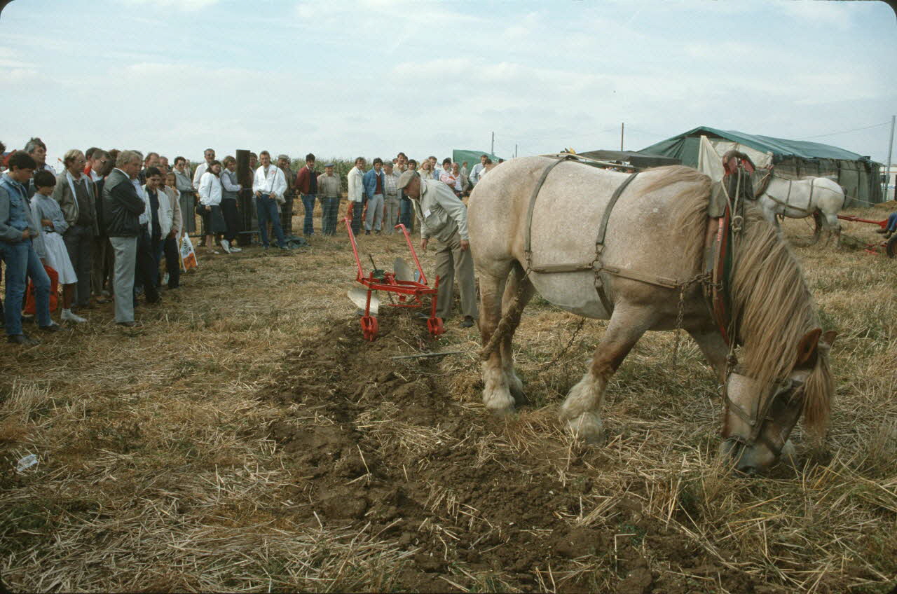 Frédéric Duchesne photographie MNATP. Enquête sur la finale des 32è Championnats de France de labours conduite par Frédéric Duchesne à Boves en Picardie (septembre 1985) Picardie, France 1985/9/14-1985/9/15 Ph.1986.87.321 Photo