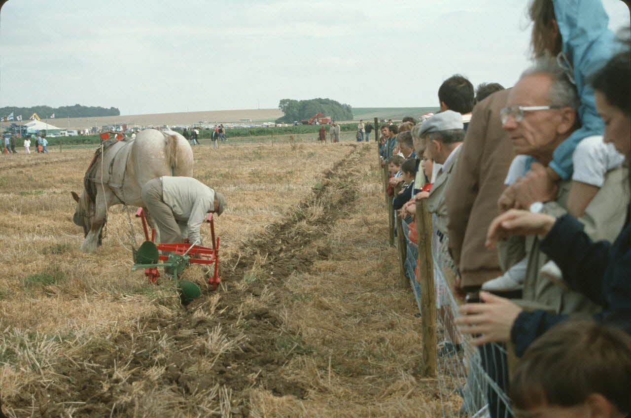 Frédéric Duchesne photographie MNATP. Enquête sur la finale des 32è Championnats de France de labours conduite par Frédéric Duchesne à Boves en Picardie (septembre 1985) Picardie, France 1985/9/14-1985/9/15 Ph.1986.87.322 Photo