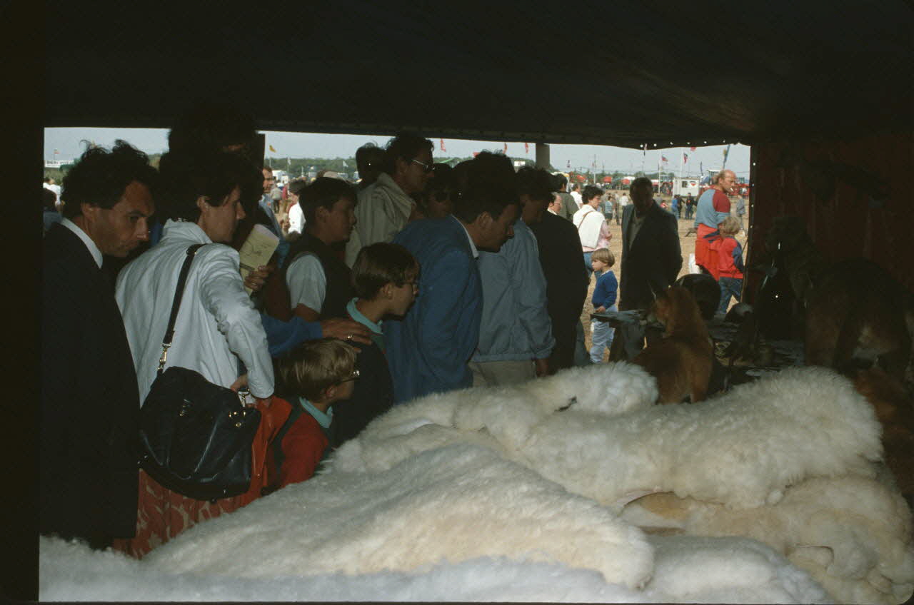 Frédéric Duchesne photographie MNATP. Enquête sur la finale des 32è Championnats de France de labours conduite par Frédéric Duchesne à Boves en Picardie (septembre 1985) Picardie, France 1985/9/14-1985/9/15 Ph.1986.87.332 Photo
