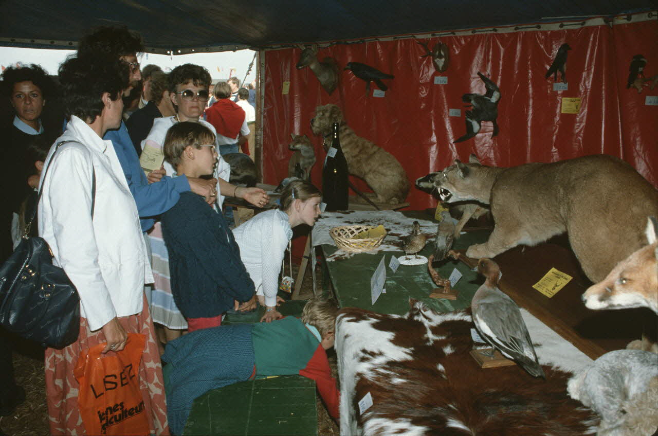 Frédéric Duchesne photographie MNATP. Enquête sur la finale des 32è Championnats de France de labours conduite par Frédéric Duchesne à Boves en Picardie (septembre 1985) Picardie, France 1985/9/14-1985/9/15 Ph.1986.87.333 Photo