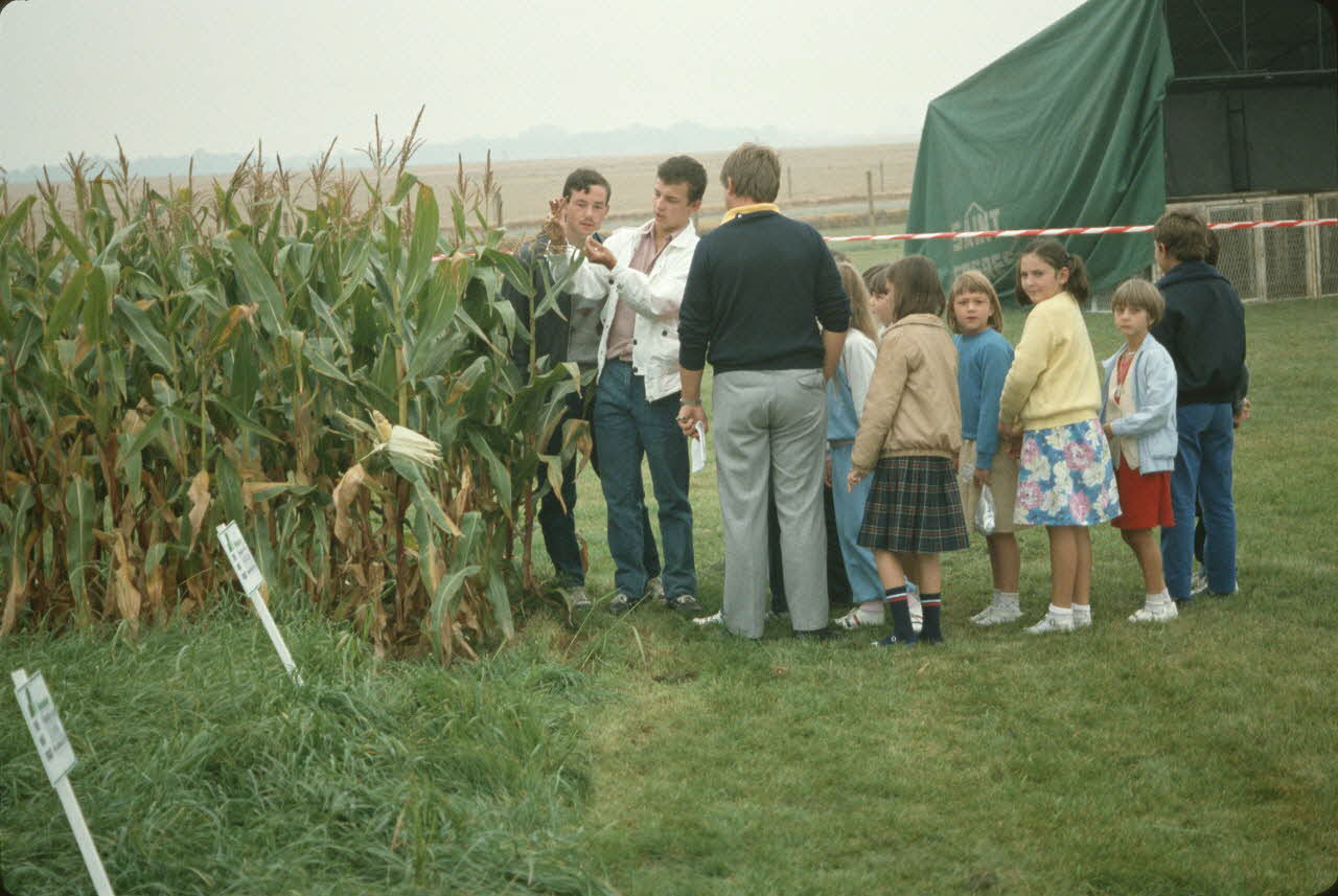 Frédéric Duchesne photographie MNATP. Enquête sur la finale des 32è Championnats de France de labours conduite par Frédéric Duchesne à Boves en Picardie (septembre 1985) Picardie, France 1985/9/14-1985/9/15 Ph.1986.87.347  Photo