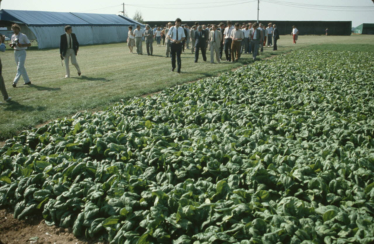 Frédéric Duchesne photographie MNATP. Enquête sur la finale des 32è Championnats de France de labours conduite par Frédéric Duchesne à Boves en Picardie (septembre 1985) Picardie, France 1985/9/12 Ph.1986.87.66 Photo
