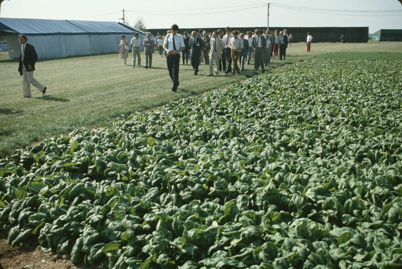 Frédéric Duchesne photographie MNATP. Enquête sur la finale des 32è Championnats de France de labours conduite par Frédéric Duchesne à Boves en Picardie (septembre 1985) Picardie, France 1985/9/12 Ph.1986.87.67 Photo