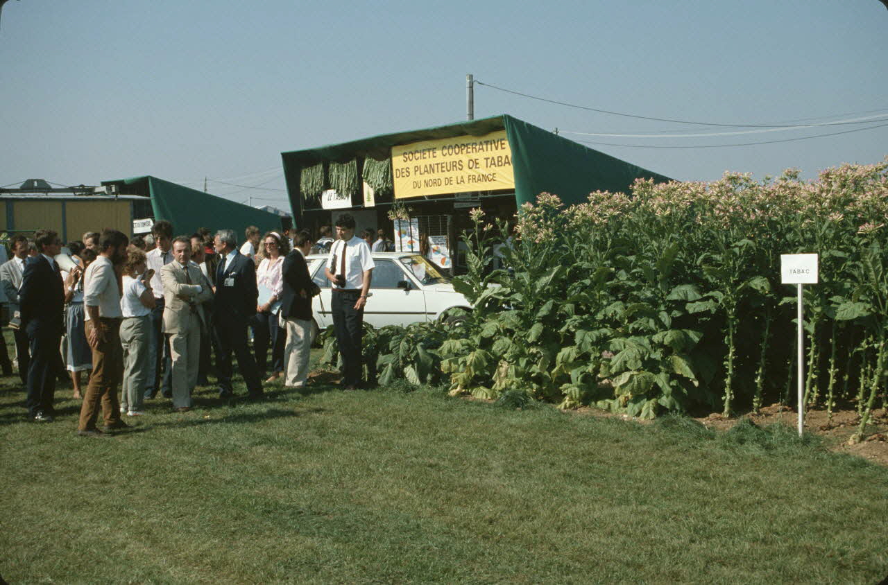 Frédéric Duchesne photographie MNATP. Enquête sur la finale des 32è Championnats de France de labours conduite par Frédéric Duchesne à Boves en Picardie (septembre 1985) Picardie, France 1985/9/12 Ph.1986.87.69 Photo