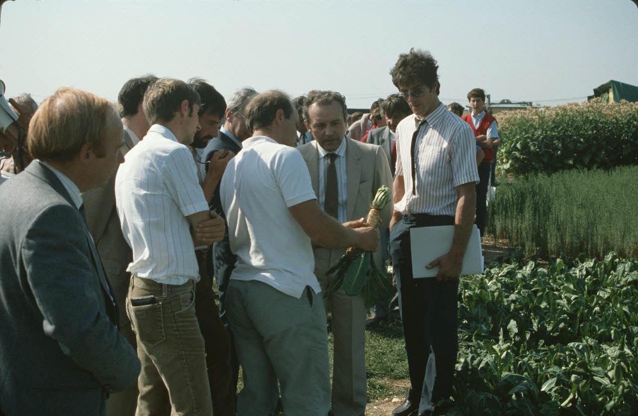 Frédéric Duchesne photographie MNATP. Enquête sur la finale des 32è Championnats de France de labours conduite par Frédéric Duchesne à Boves en Picardie (septembre 1985) Picardie, France 1985/9/12 Ph.1986.87.71 Photo