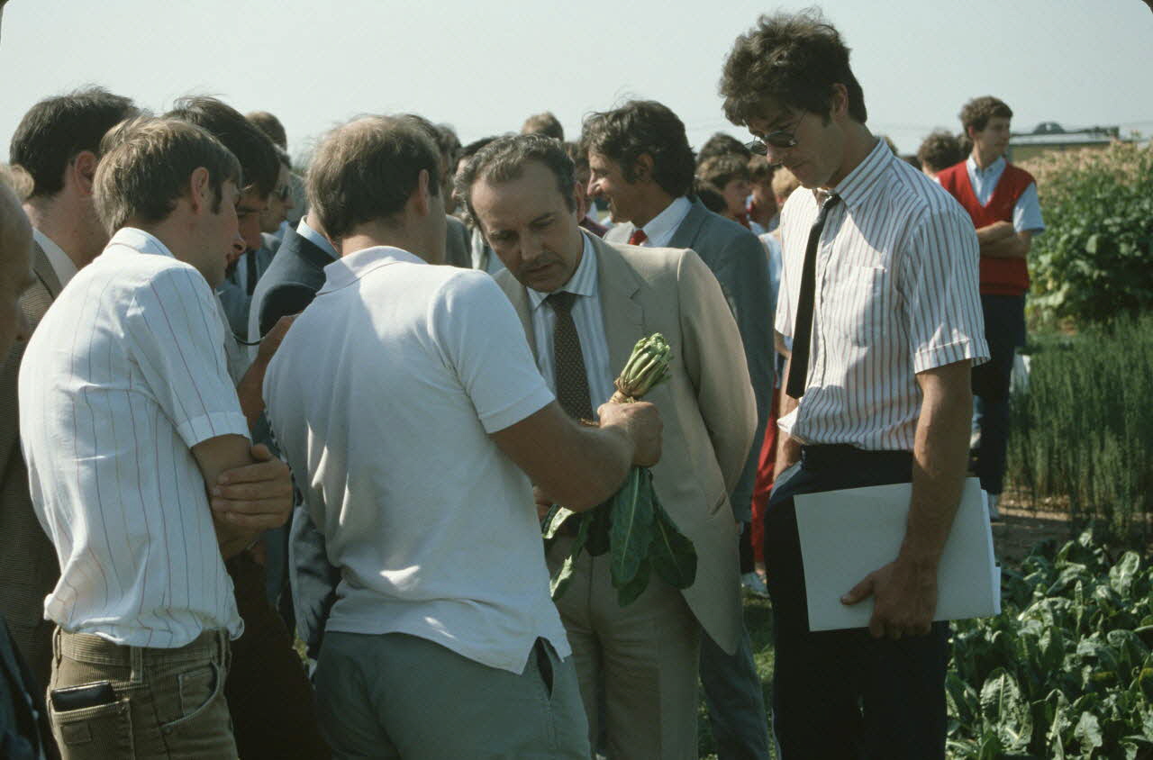Frédéric Duchesne photographie MNATP. Enquête sur la finale des 32è Championnats de France de labours conduite par Frédéric Duchesne à Boves en Picardie (septembre 1985) Picardie, France 1985/9/12 Ph.1986.87.72 Photo