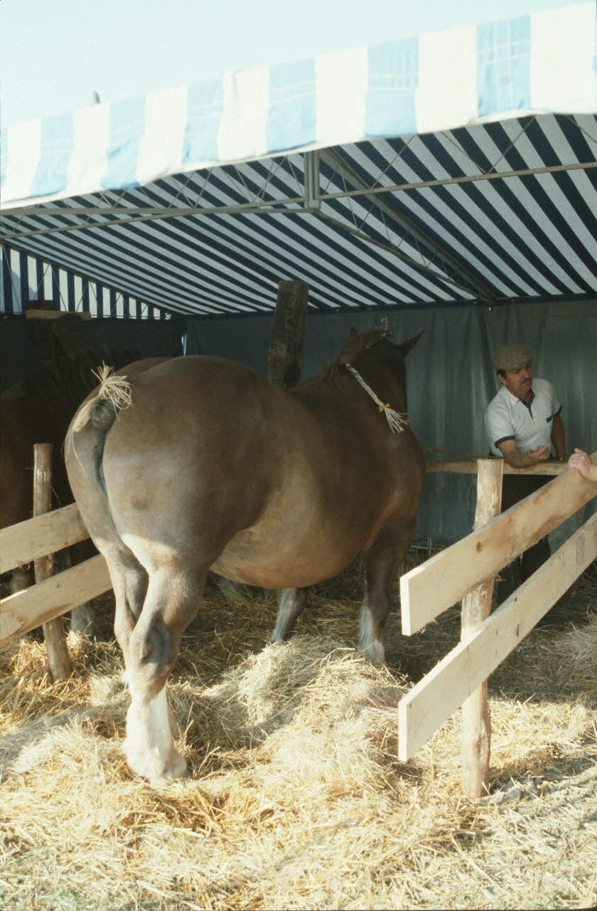 Jean Cuisenier photographie Enquête conduite par Jean Cuisenier en Bretagne lors du Championnat de Labour (19 au 21 septembre 1986) Bretagne, France 1986/9/19 Ph.1986.97.100 Photo