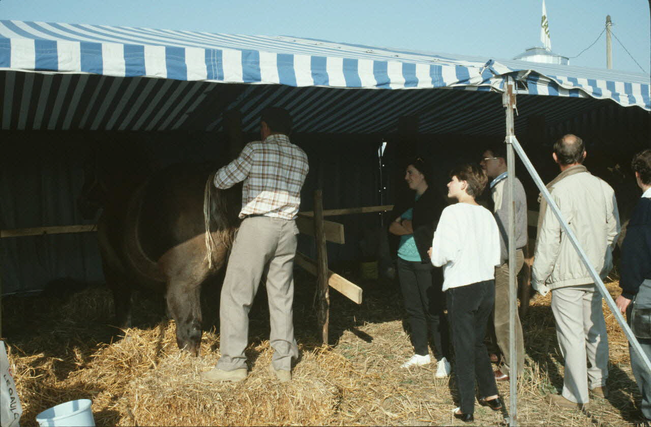 Jean Cuisenier photographie Enquête conduite par Jean Cuisenier en Bretagne lors du Championnat de Labour (19 au 21 septembre 1986) Bretagne, France 1986/9/19 Ph.1986.97.101 Photo