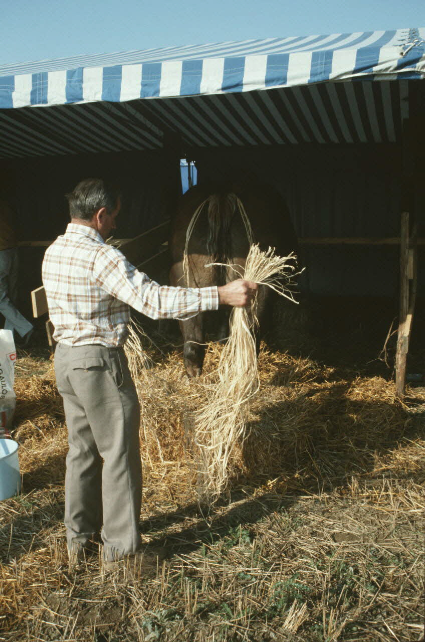 Jean Cuisenier photographie Enquête conduite par Jean Cuisenier en Bretagne lors du Championnat de Labour (19 au 21 septembre 1986) Bretagne, France 1986/9/19 Ph.1986.97.102 Photo