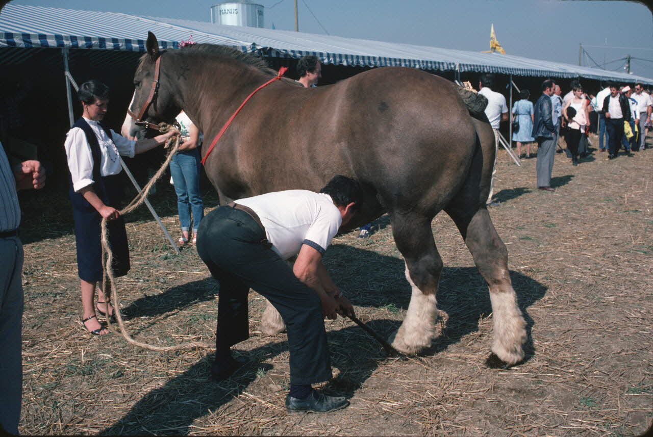 Jean Cuisenier photographie Enquête conduite par Jean Cuisenier en Bretagne lors du Championnat de Labour (19 au 21 septembre 1986) Bretagne, France 1986/9/19 Ph.1986.97.104 Photo