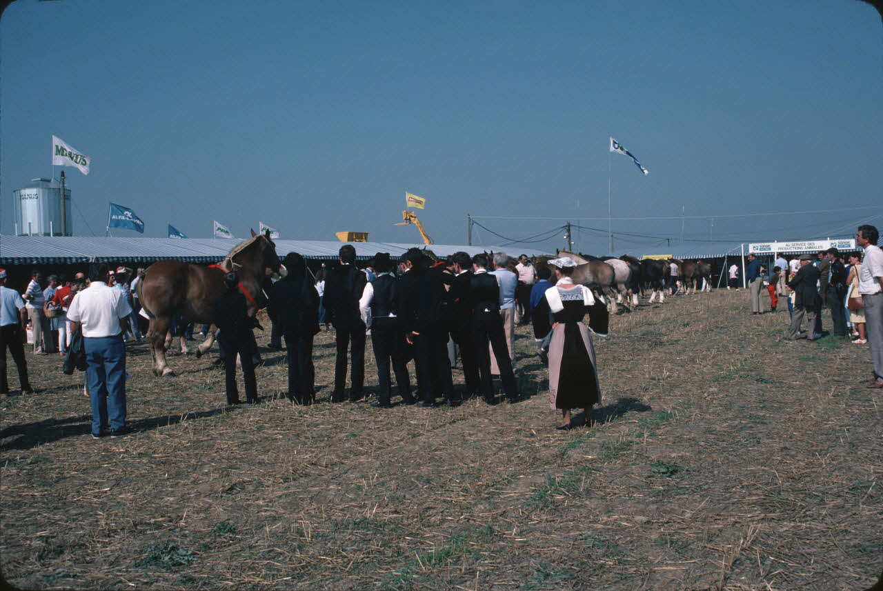 Jean Cuisenier photographie Enquête conduite par Jean Cuisenier en Bretagne lors du Championnat de Labour (19 au 21 septembre 1986) Bretagne, France 1986/9/19 Ph.1986.97.106 Photo