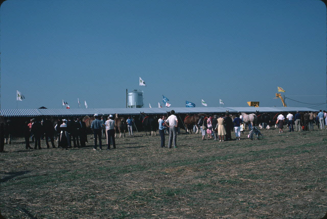 Jean Cuisenier photographie Enquête conduite par Jean Cuisenier en Bretagne lors du Championnat de Labour (19 au 21 septembre 1986) Bretagne, France 1986/9/19 Ph.1986.97.107 Photo