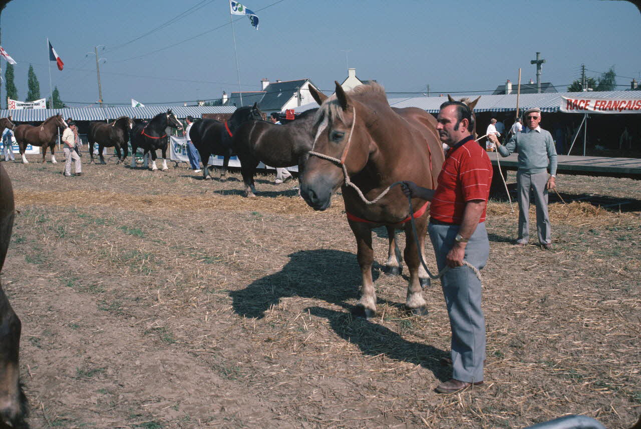 Jean Cuisenier photographie Enquête conduite par Jean Cuisenier en Bretagne lors du Championnat de Labour (19 au 21 septembre 1986) Bretagne, France 1986/9/19 Ph.1986.97.108 Photo