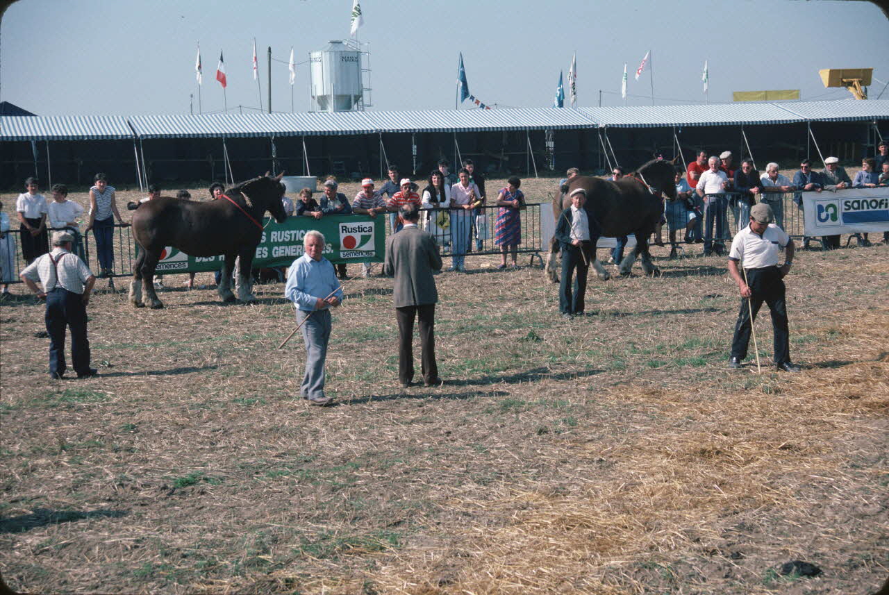 Jean Cuisenier photographie Enquête conduite par Jean Cuisenier en Bretagne lors du Championnat de Labour (19 au 21 septembre 1986) Bretagne, France 1986/9/19 Ph.1986.97.109 Photo