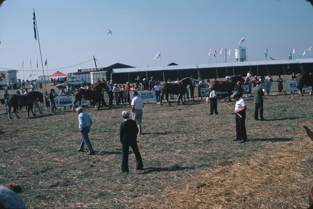 Jean Cuisenier photographie Enquête conduite par Jean Cuisenier en Bretagne lors du Championnat de Labour (19 au 21 septembre 1986) Bretagne, France 1986/9/19 Ph.1986.97.110 Photo