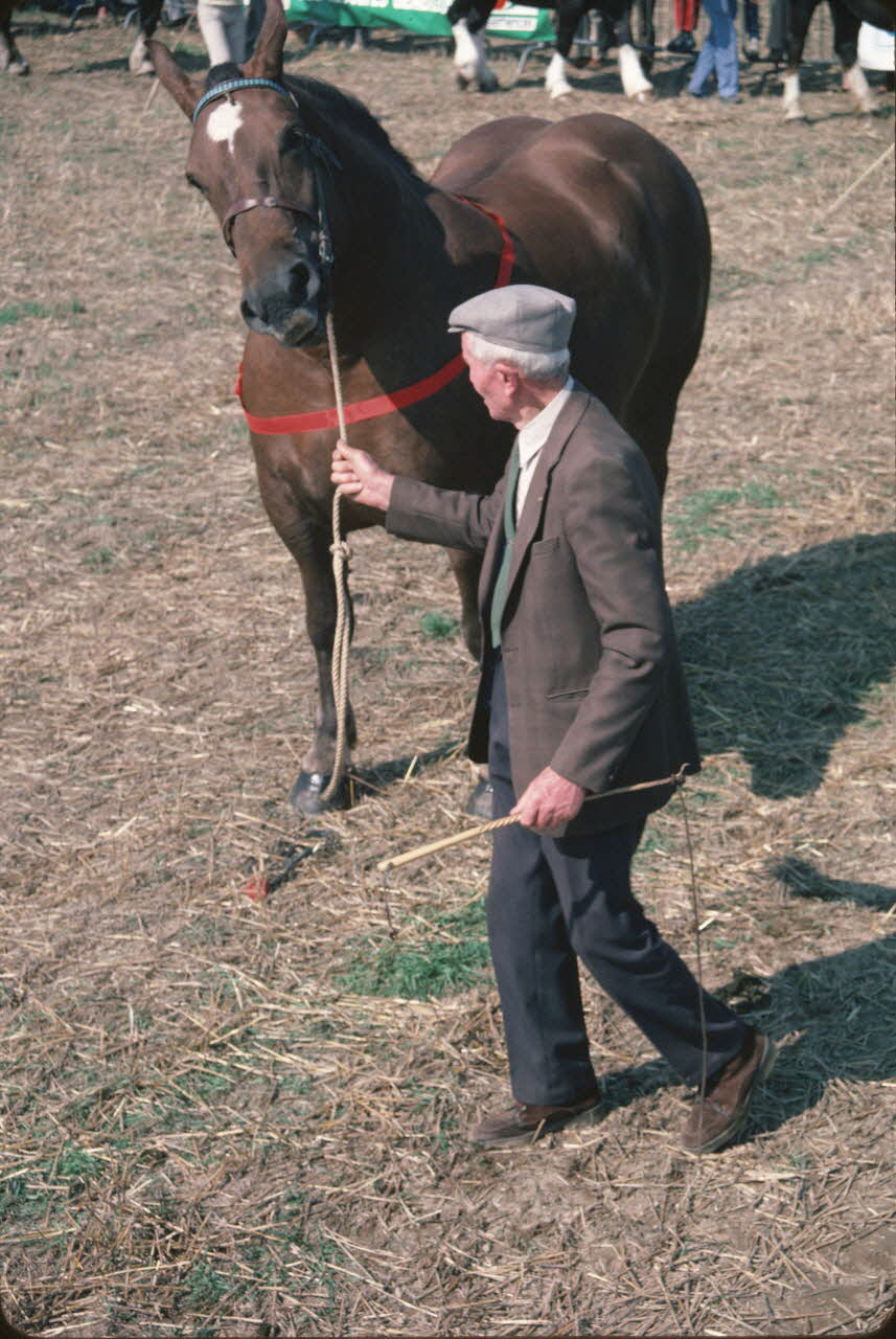 Jean Cuisenier photographie Enquête conduite par Jean Cuisenier en Bretagne lors du Championnat de Labour (19 au 21 septembre 1986) Bretagne, France 1986/9/19 Ph.1986.97.111 Photo
