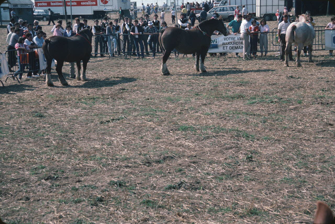 Jean Cuisenier photographie Enquête conduite par Jean Cuisenier en Bretagne lors du Championnat de Labour (19 au 21 septembre 1986) Bretagne, France 1986/9/19 Ph.1986.97.112 Photo