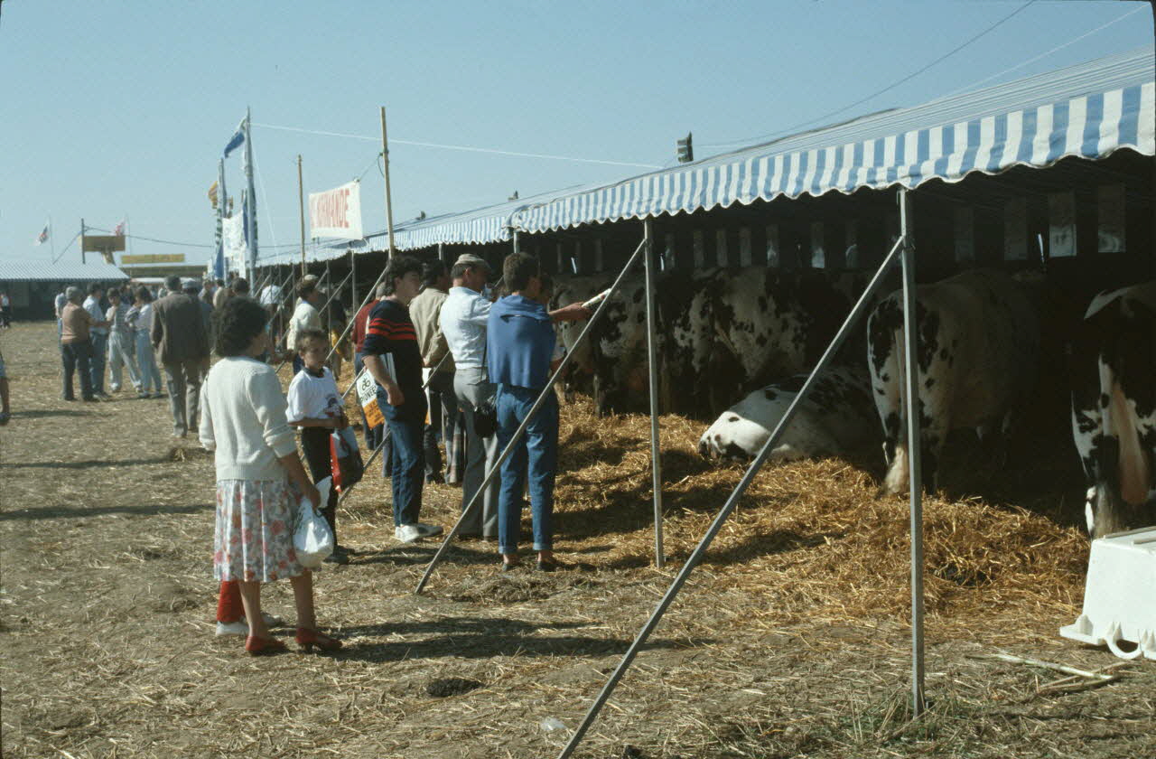 Jean Cuisenier photographie Enquête conduite par Jean Cuisenier en Bretagne lors du Championnat de Labour (19 au 21 septembre 1986) Bretagne, France 1986/9/19 Ph.1986.97.26 Photo