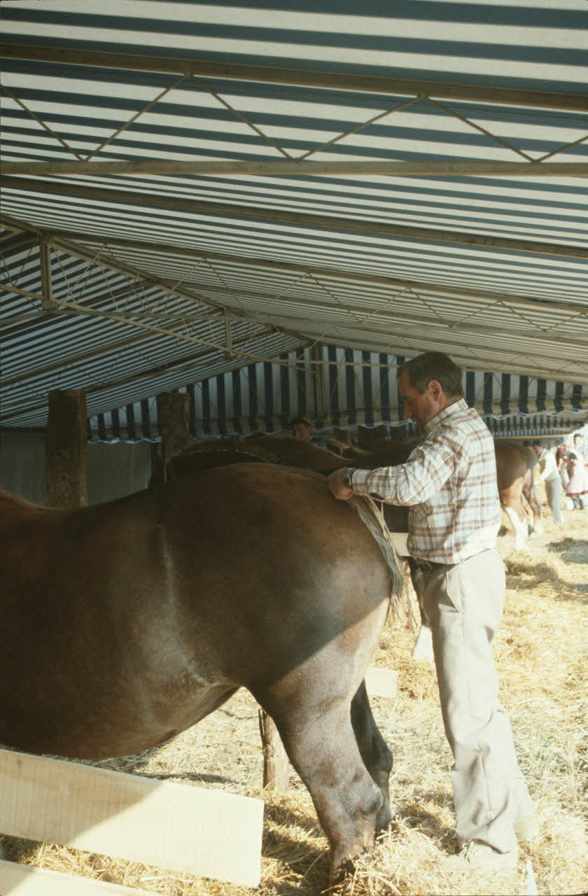 Jean Cuisenier photographie Enquête conduite par Jean Cuisenier en Bretagne lors du Championnat de Labour (19 au 21 septembre 1986) Bretagne, France 1986/9/19 Ph.1986.97.99 Photo