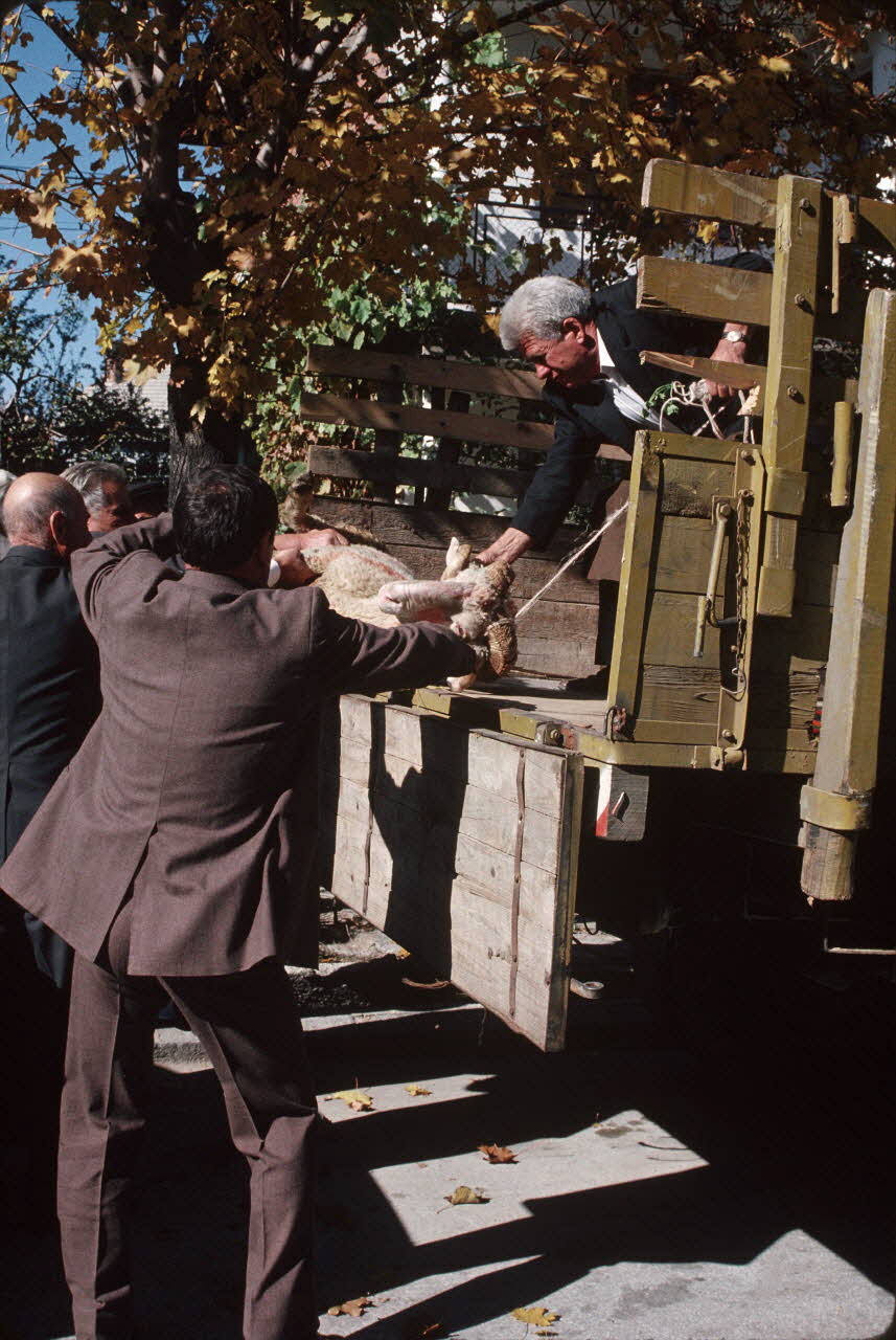 Jean Cuisenier photographie Enquête conduite par Jean Cuisenier en Bulgarie (11 au 28 octobre 1989) Province de Blagoevgrad, Bulgarie 1989/10/11 Ph.1989.100.158 Photo