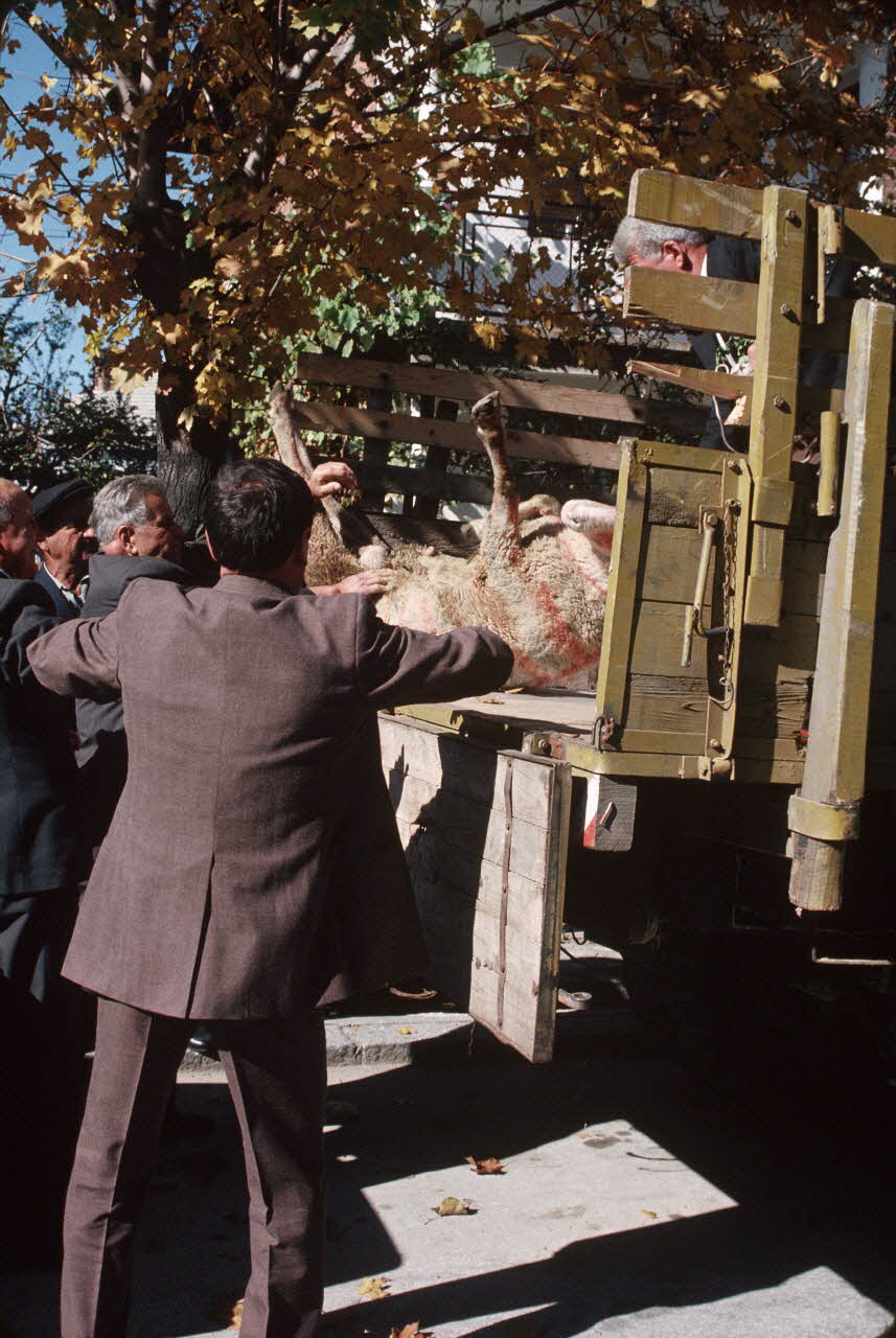 Jean Cuisenier photographie Enquête conduite par Jean Cuisenier en Bulgarie (11 au 28 octobre 1989) Province de Blagoevgrad, Bulgarie 1989/10/11 Ph.1989.100.159 Photo