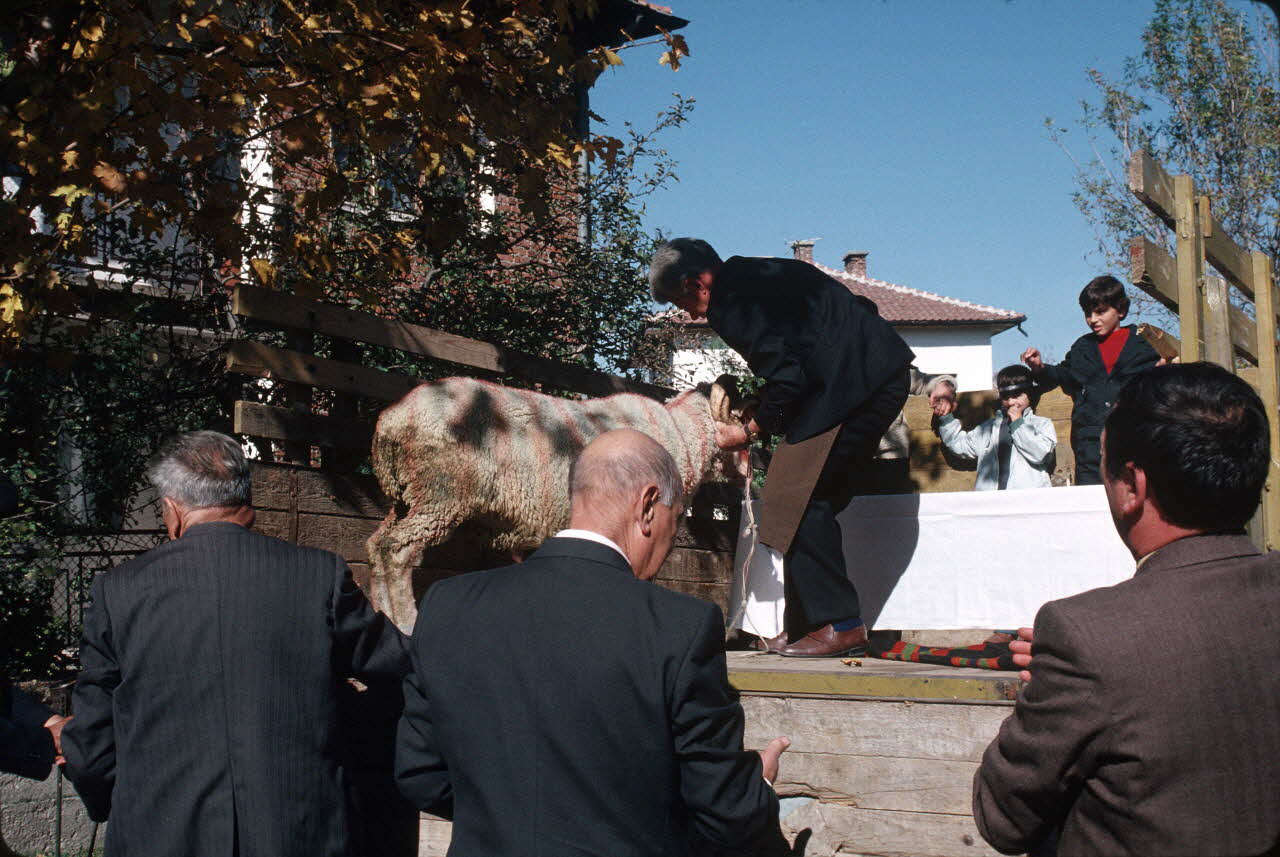 Jean Cuisenier photographie Enquête conduite par Jean Cuisenier en Bulgarie (11 au 28 octobre 1989) Province de Blagoevgrad, Bulgarie 1989/10/11 Ph.1989.100.160 Photo