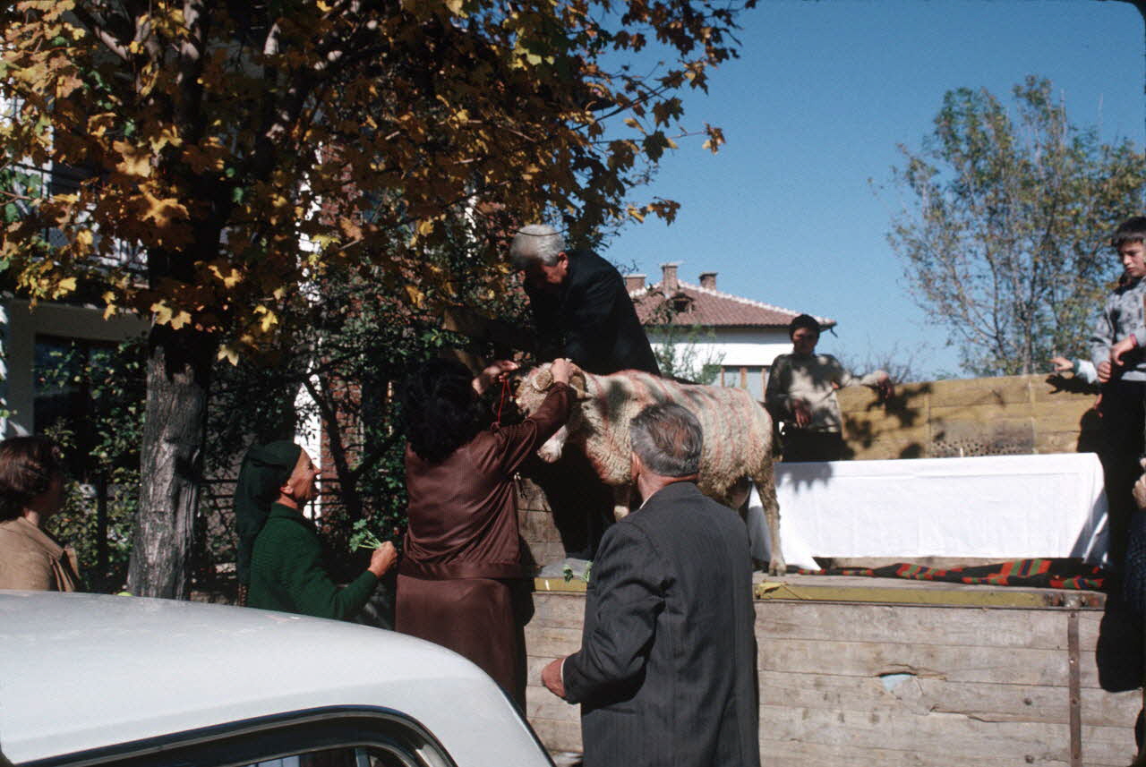 Jean Cuisenier photographie Enquête conduite par Jean Cuisenier en Bulgarie (11 au 28 octobre 1989) Province de Blagoevgrad, Bulgarie 1989/10/11 Ph.1989.100.161 Photo