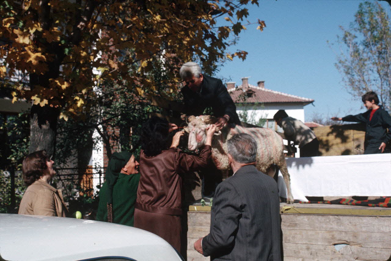 Jean Cuisenier photographie Enquête conduite par Jean Cuisenier en Bulgarie (11 au 28 octobre 1989) Province de Blagoevgrad, Bulgarie 1989/10/11 Ph.1989.100.162 Photo