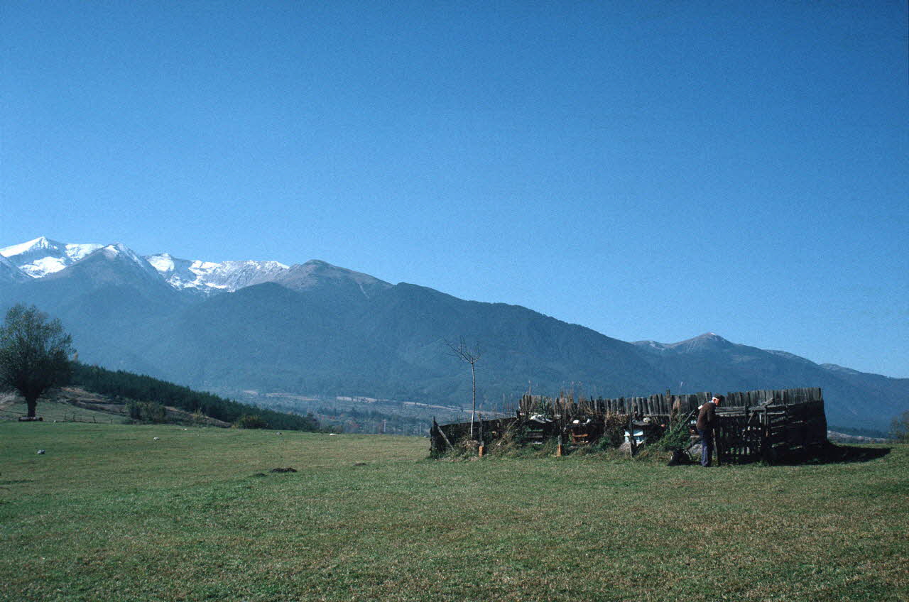 Jean Cuisenier photographie Enquête conduite par Jean Cuisenier en Bulgarie (11 au 28 octobre 1989) Province de Blagoevgrad, Bulgarie 1989/10/11 Ph.1989.100.192 Photo