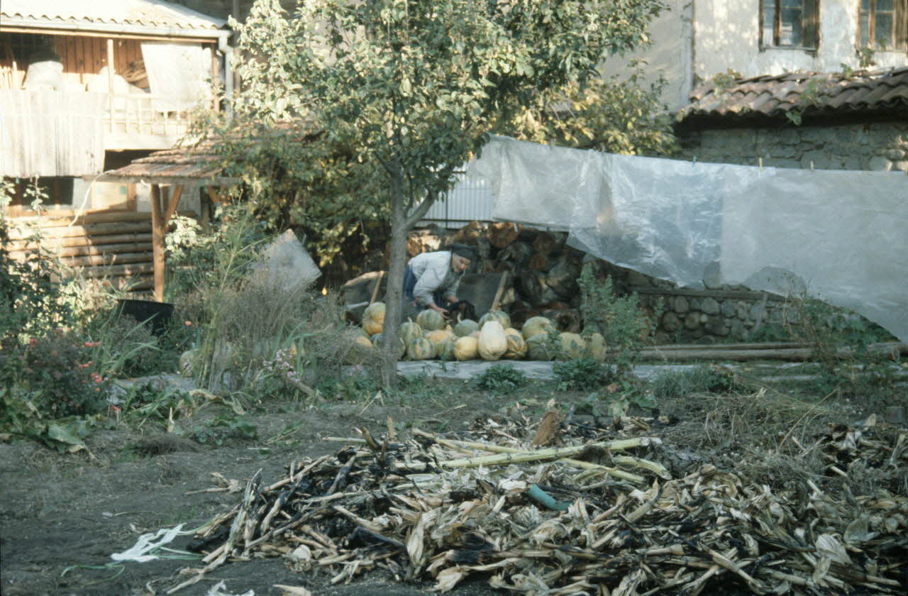 Jean Cuisenier photographie Enquête conduite par Jean Cuisenier en Bulgarie (11 au 28 octobre 1989) Bulgarie 1989/10/11 Ph.1989.100.114 Photo
