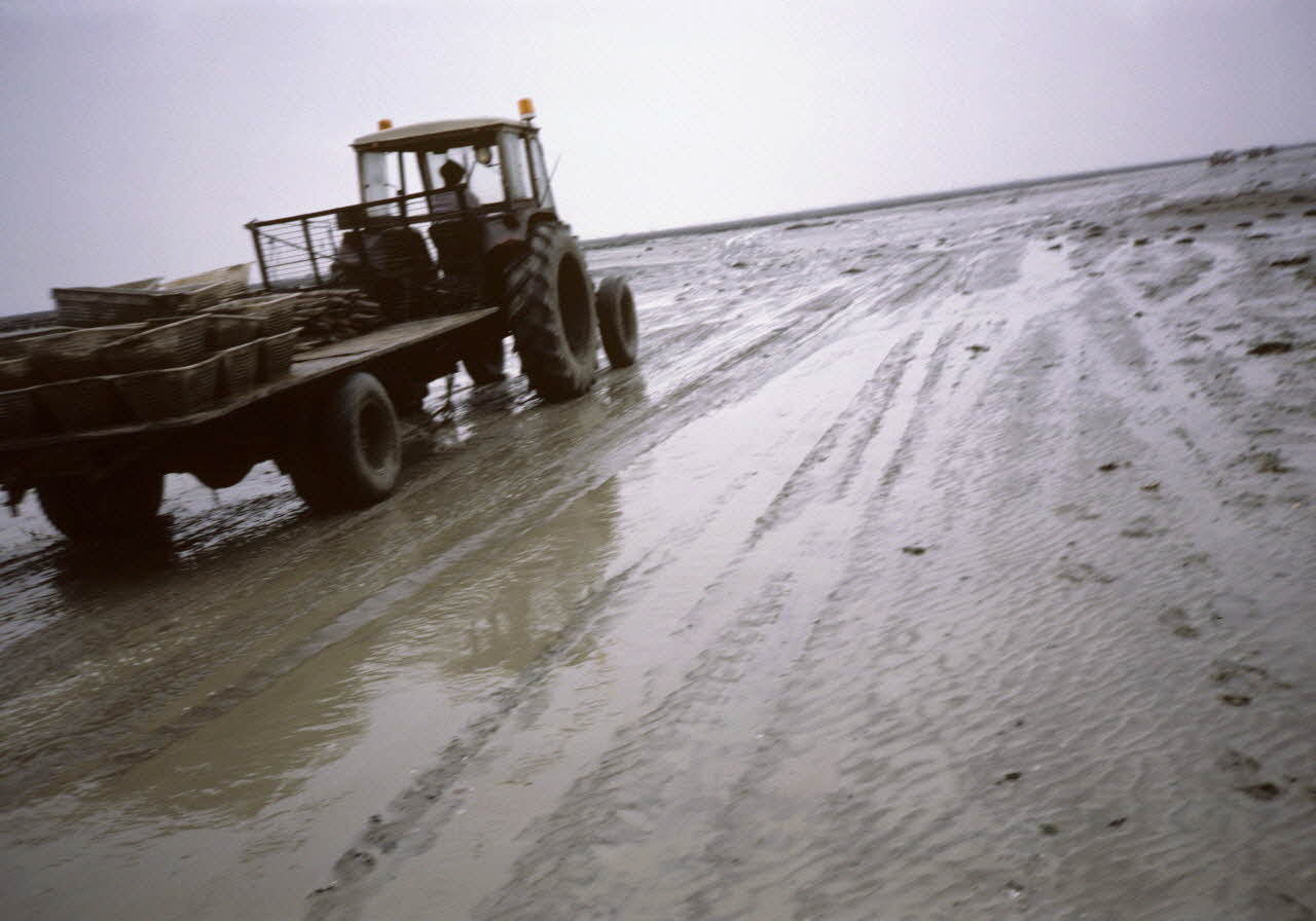 Michèle Salitot ; Anne Maigret photographie Chantier ostréicole de M. Pichot-Louvet (cf. minute) Bretagne, France 1989/4/1 Ph.1989.34.140  Photo